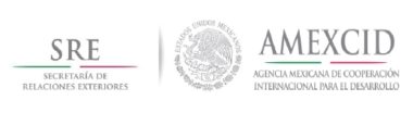 Mexican government-excellence scholarship program